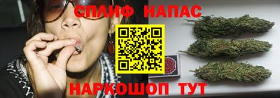 амф Кандалакша