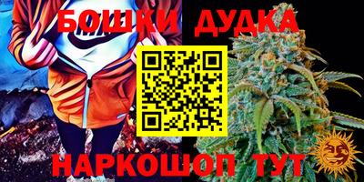 бошки Камышлов
