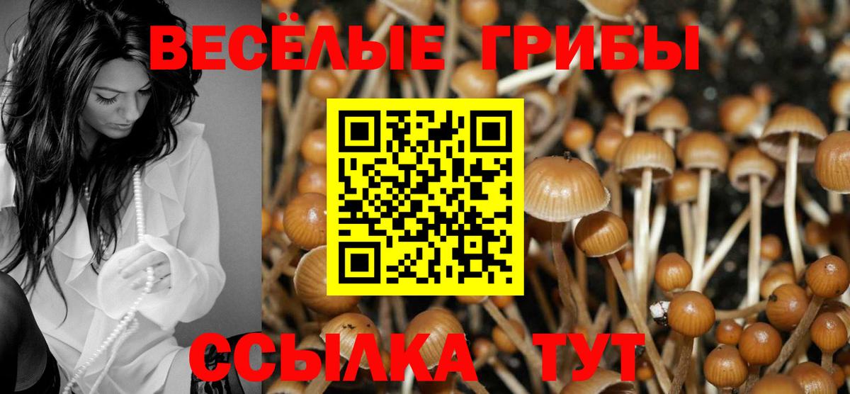 Псилоцибиновые грибы мицелий Лабинск