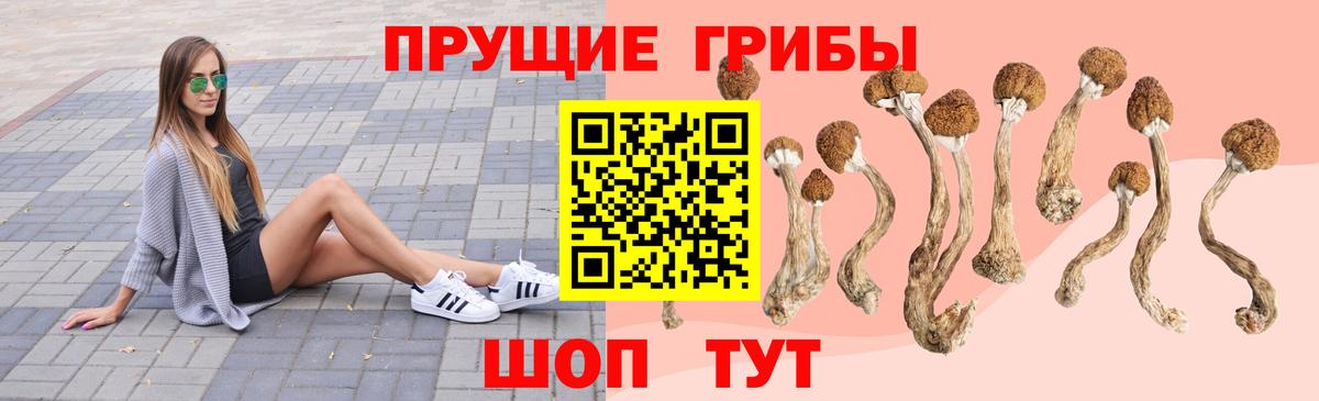 Псилоцибиновые грибы мицелий  Вход с VPN  как найти наркотики  Лабинск 